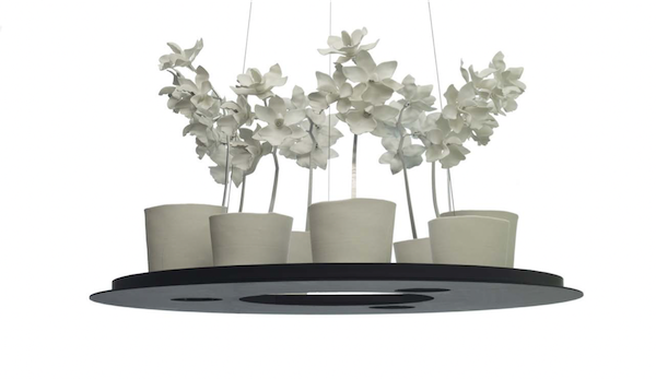 Светильник Cymbidium Chandelier Jeremy Cole